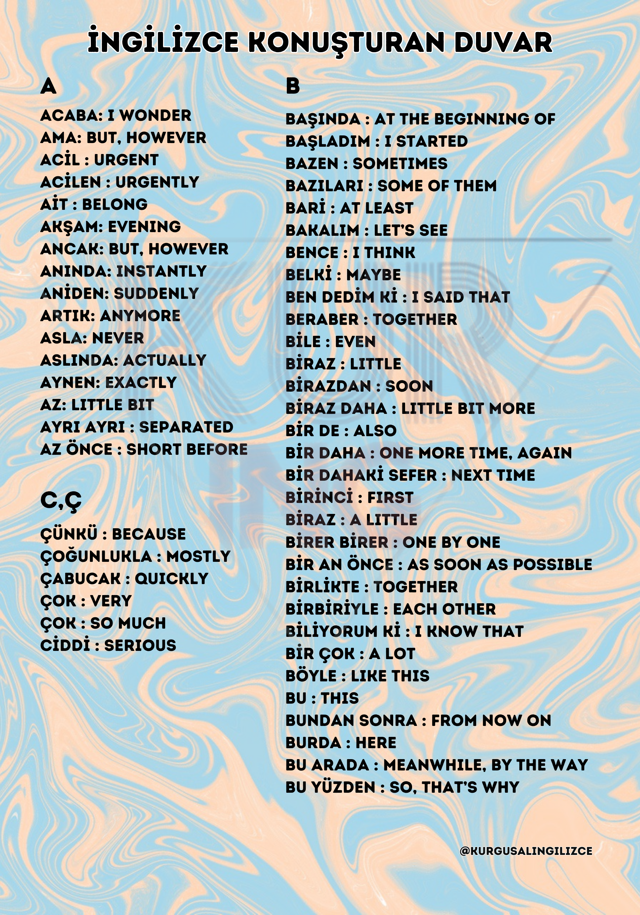 İngilizce Konuşturan Duvar 1